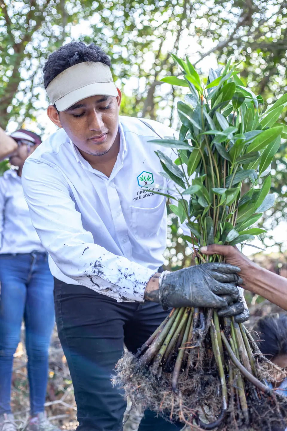Field employee working with plants